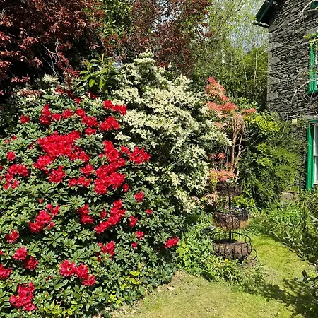 Vendégház Elim House (adults Only)